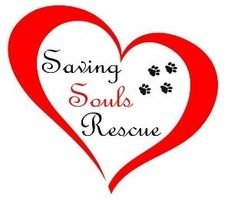 Saving Souls Animal Rescue logo
