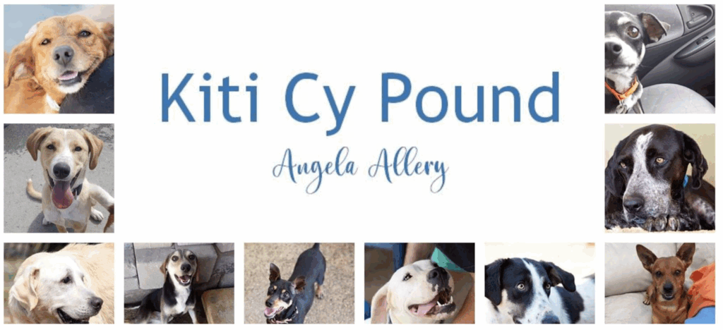 Saving Souls Animal Rescue